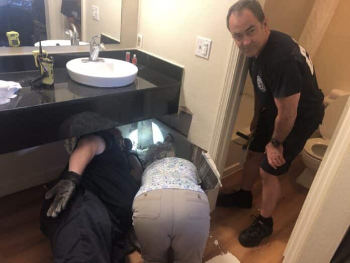 CFD- Cat Call 9-25-19