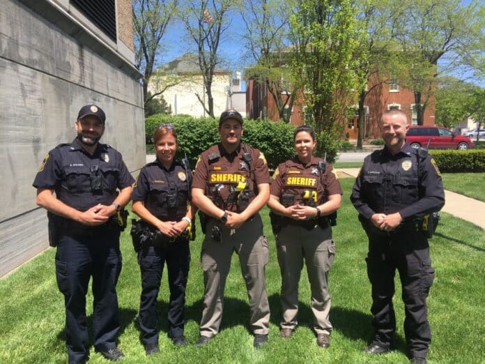 summer reading books