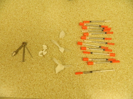 HAYWORTH, BETH DRUG-RELATED ARREST JAN 17 2021