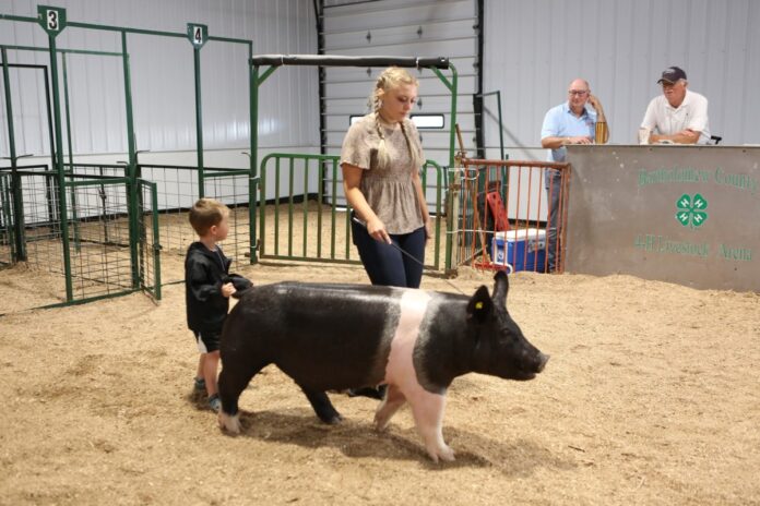 20210704cr livestock auction 9