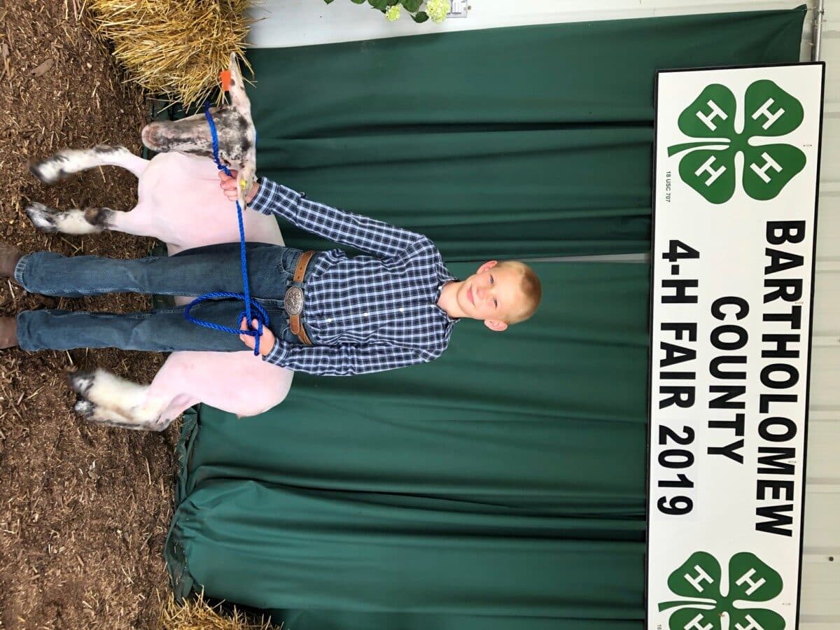 Stillman Whittington