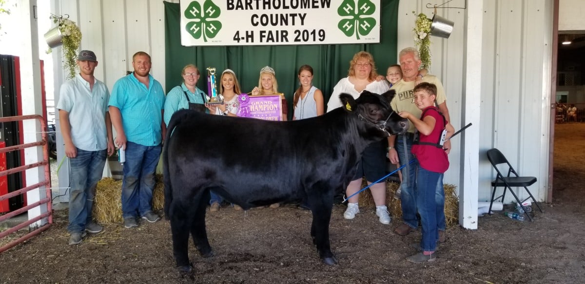 Nevaeh Paetzel, a first year 4-H member, showed the grand champion county born steer at the Bartholomew County 4-H Fair. 