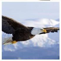 Gregory Lynn Kreinop