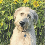 Nala Fund event planned at Mill Race Park