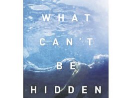 Ex-columnist releases first novel