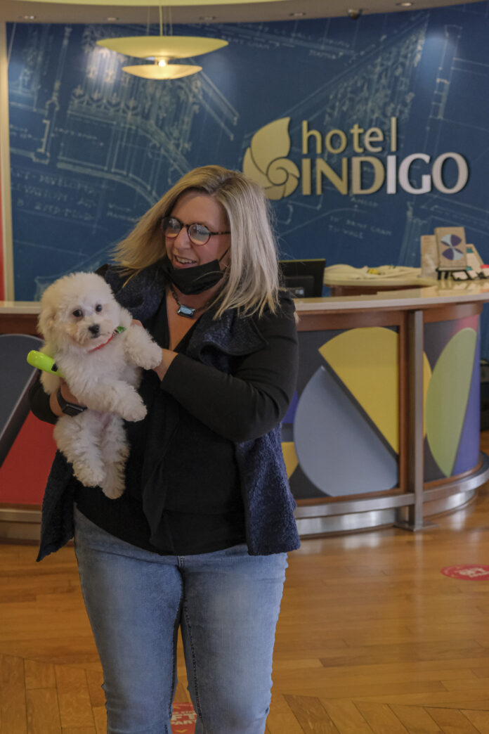 20211127cr-hotel-dog-4