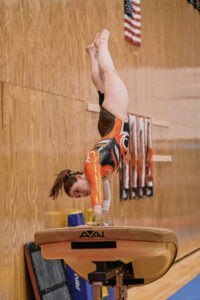 North, east gymnasts look to continue upward trend in sectional - the republic news