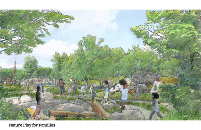 128029876_web1_nature-play