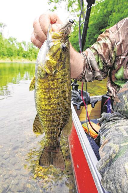 128361692_web1_20220312cr-butler-yellowstone-smallmouth