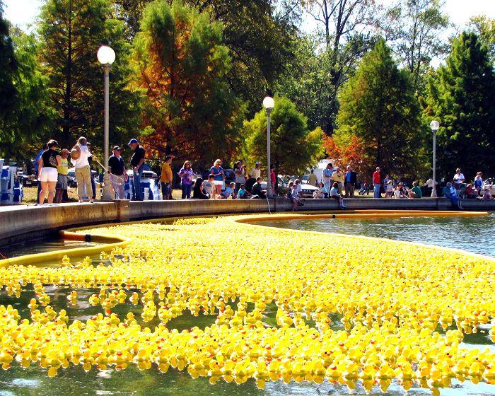 19th Annual Kiwanis Incredible Duck Splash