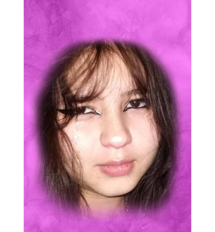 130150027_web1_webPhoto1033507