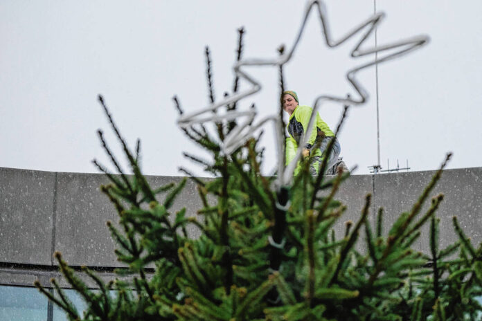 130187869_web1_20221118cr-christmas-tree-23