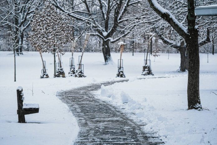 130577645_web1_20230123cr-snow-features-14