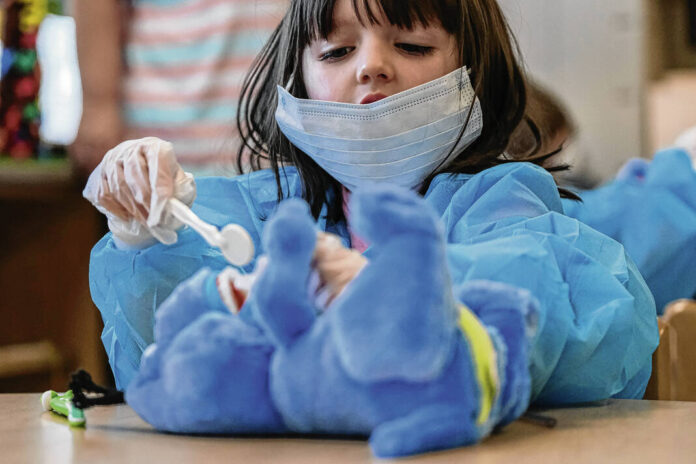Dino-mite dentistry: Preschoolers study dental well being by doing checkups for dinosaur sufferers