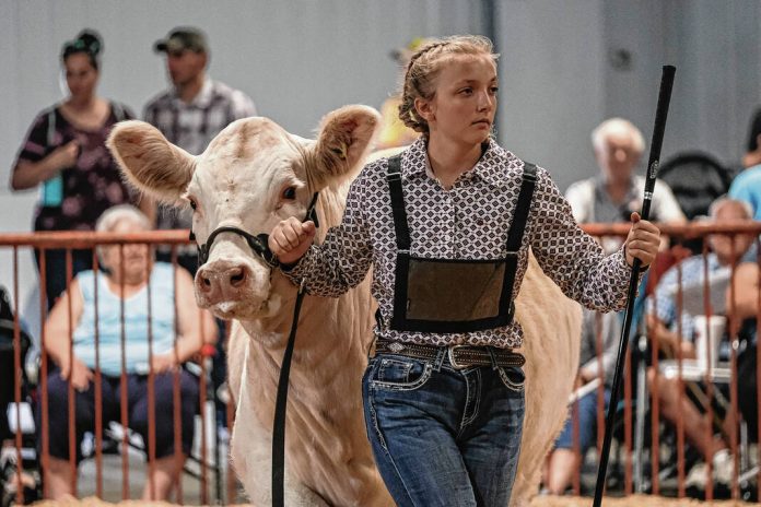 131555183_web1_20230630cr-beef-show-17