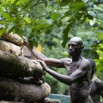 Logging is growing in a Nigerian forest home to endangered elephants. Rangers blame lax enforcement