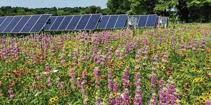 131920414_web1_20220627cr-solar-farm