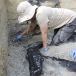 This simple log structure may be the oldest example of early humans building with wood