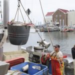 As US East Coast ramps up offshore wind power projects, much remains unknown