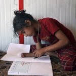 Cluster munition deaths in Ukraine pass Syria, fueling rise in a weapon the world has tried to ban