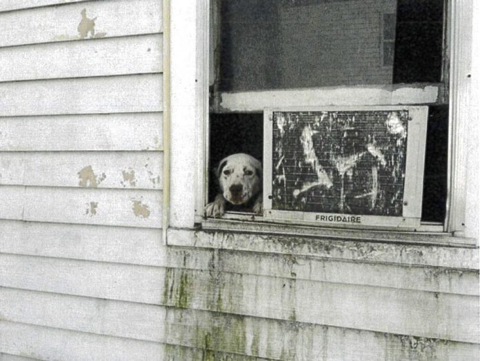 20231018cr-code-enforcement-5