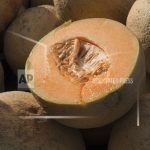 Don’t eat pre-cut cantaloupe if the source is unknown, CDC says, as deadly salmonella outbreak grows