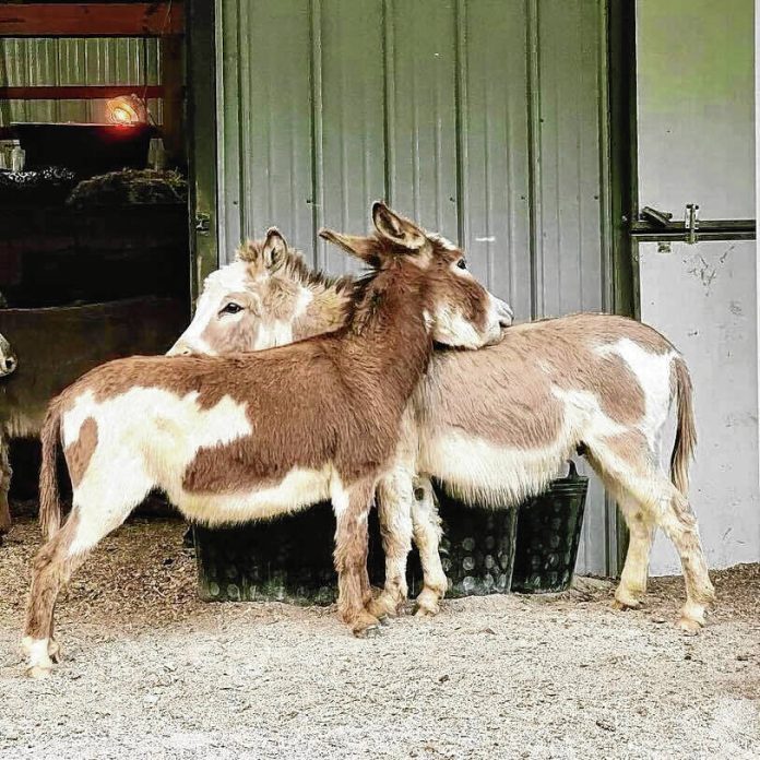 132384222_web1_20231207cr-not-so-silent