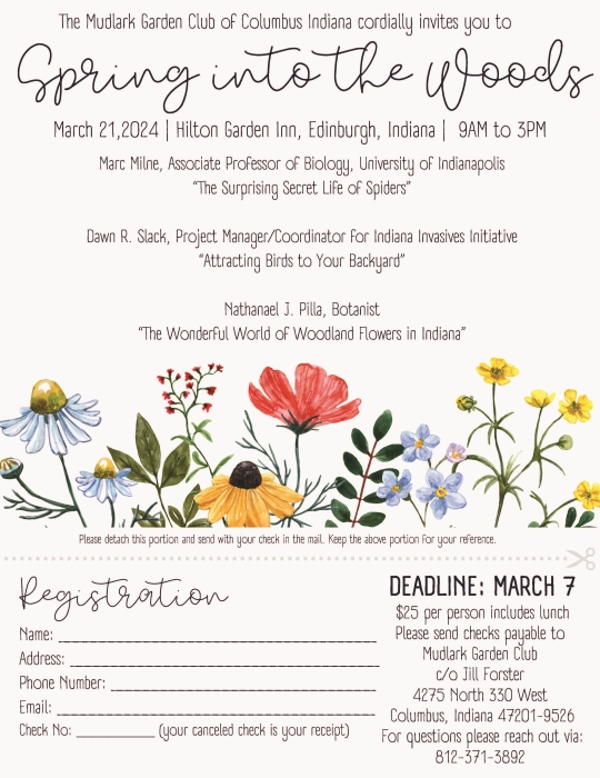 Spring Into The Woods