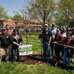 IU Columbus a ‘Tree Campus’ for fifth straight year