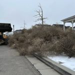Iconic Old West tumbleweeds roll in and blanket parts of suburban Salt Lake City