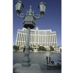 Las Vegas’ Bellagio pauses fountain show when rare bird visits