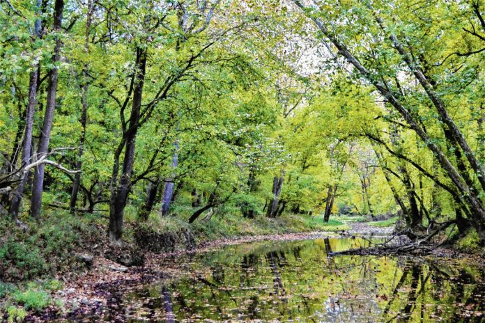 133052930_web1_20240427cr-Neighbors-Big-Oaks