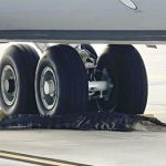 Alligator on runway at MacDill Air Force Base in Florida captured, released into nearby river