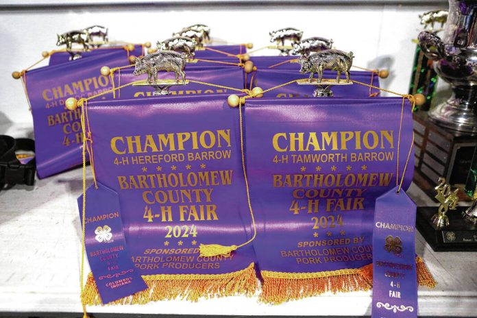 133368822_web1_20240626cr-fair-barrow-show-1