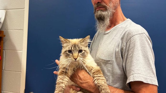 133456410_web1_20240720cr-pets-Macbeth