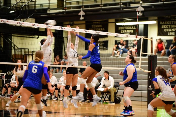 133686250_web1_20240905xxcr-north-hauser-volleyballtlw033