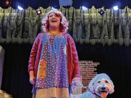 Park Theatre Civic Centre to present ‘Annie’ during the holidays