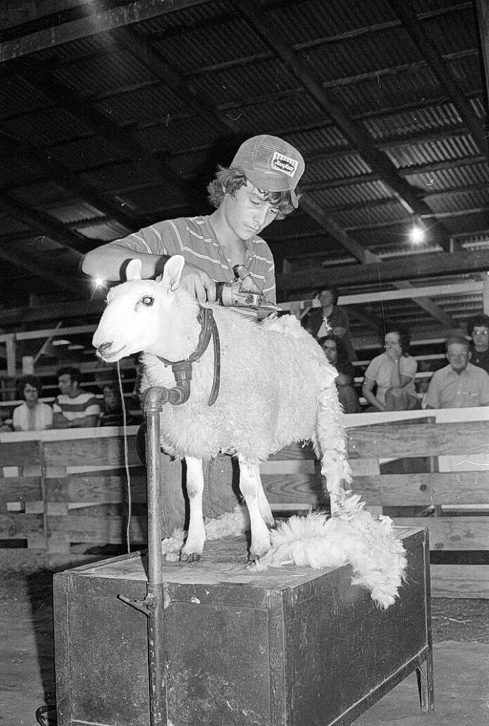 134650930_web1_20250721cr-lkbk