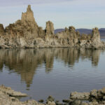 A science journal pulled a controversial study about a bizarre life form against the authors’ wishes