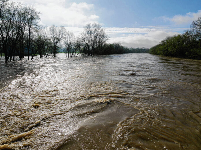 135160737_web1_20250407cr-flood-follow-up-4