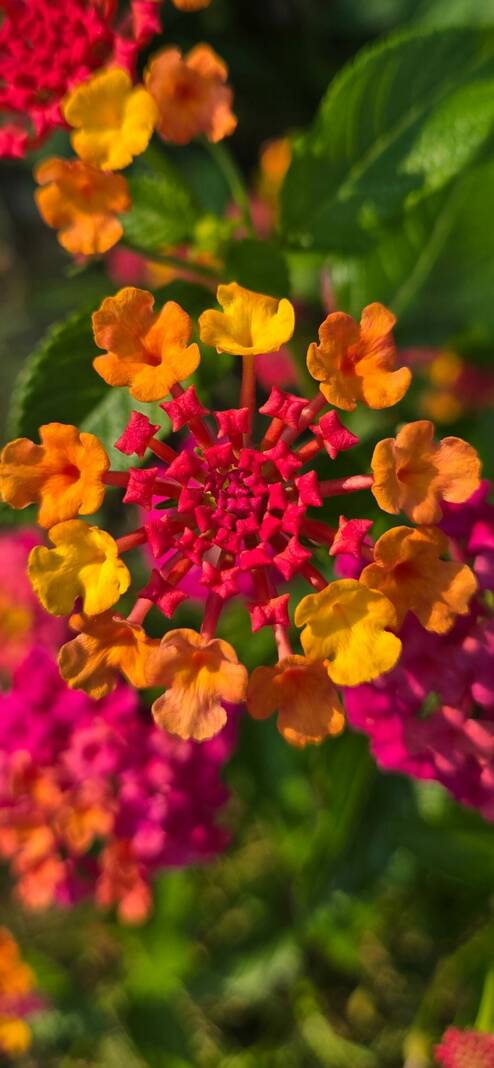 135169290_web1_20250811cr-tybs-christina-bailey