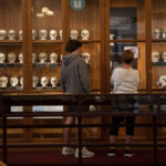 Medical museum in Philadelphia overhauls policies on human remains to meet modern ethical standards