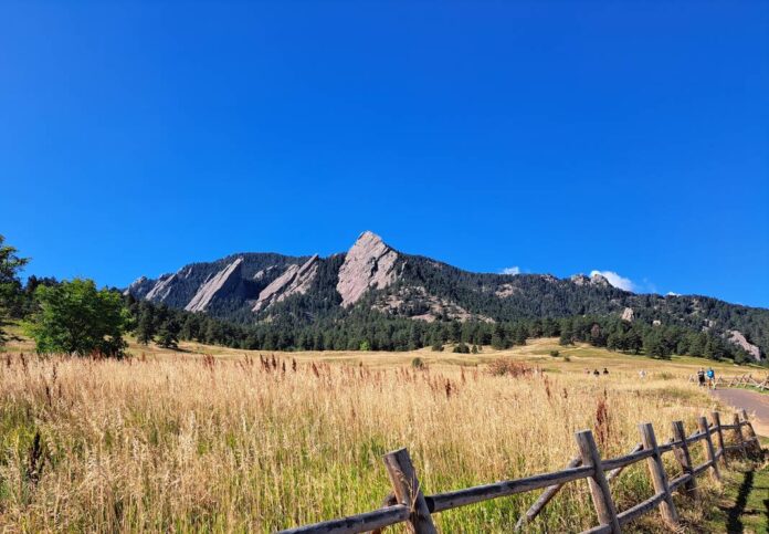 135449228_web1_20251011cr-tybs-david-borcherding