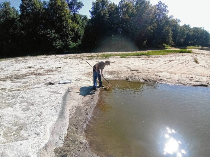 135485285_web1_20251015cr-Jacobus_fungus-1