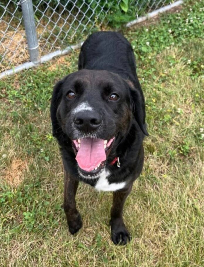 135665345_web1_20251122cr-pets-BCHS-Froggy