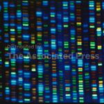 Studies test whether gene-editing can fix high cholesterol. For now, take your medicine