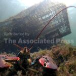 Maine’s catch of lobster declines again as high costs and climate change impact industry