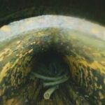 Drone video from inside a Fukushima reactor shows a hole in pressure vessel, likely fuel debris