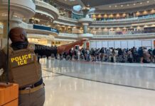 Georgia proposal could take DNA swabs from immigrants in custody for minor offenses