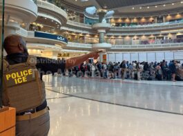 Georgia proposal could take DNA swabs from immigrants in custody for minor offenses